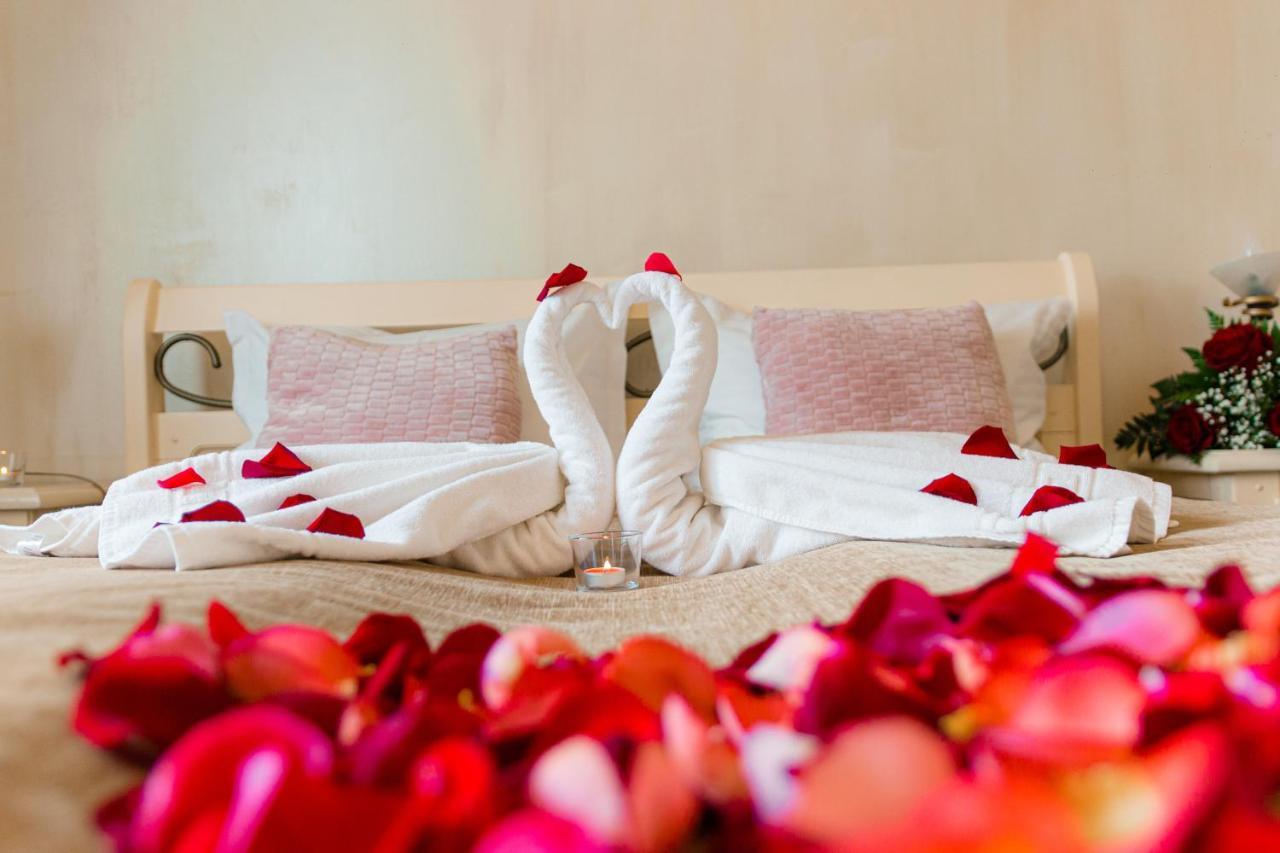 Hotel Carol - Vatra Dornei Dış mekan fotoğraf